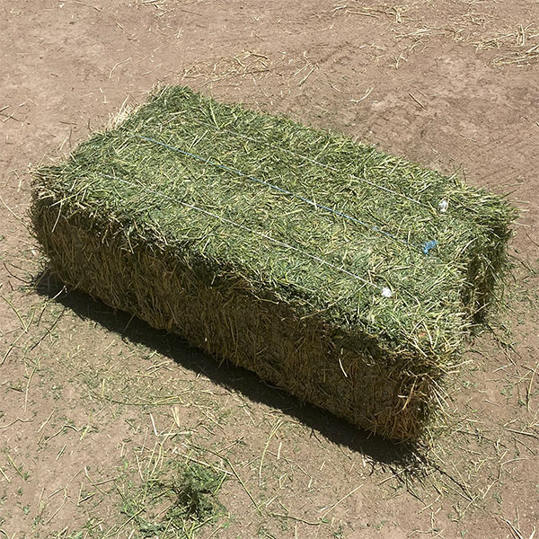 Alfalfa Hay for Sale Near me Tucson