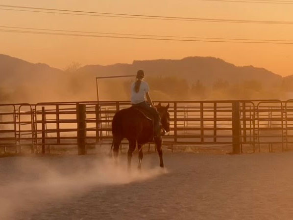 Sunset Horse Ride at Tucson Hay
