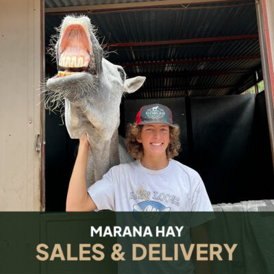 Marana Hay Sales & Delivery